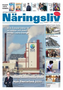2017-1 Svensk industri
